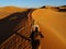 Ride on the camel in Merzouga desert