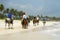 Ride on horseback on the beach