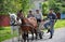 A ride on a street carries a couple of horses and people