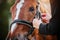 The rider adjusts the straps on the bridle worn on the face of a sorrel horse with a white stripe on the forehead. Equestrian