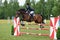 Rider on bay horse jumping obstacle at Concours Hippique show