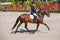 Rider competing in dressage competition classic