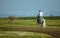 rider galloping on a white horse through the meadow