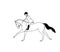 rider on a horse galloping forward