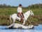 Rider on the horse graze Camargue horses in the swamp