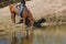 Rider with horse watering at pond