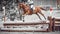 Rider jumps a horse during practice on cross country eventing course, duotone art