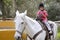 Rider little girl jockey hat white horse in park