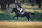 Rider man galloping fast in field on black stallion horse during eventing cross country competition