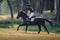 Rider man galloping fast in field on black stallion horse during eventing cross country competition