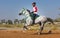 Rider participating in an endurance race.