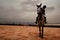 Rider preparing jump obstacle with horse