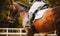 A rider rides a beautiful bay horse in the saddle on a summer day. Equestrian sports and horse riding. Gallop on a horse