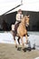 A rider riding beautiful palomino American Saddle Horses at an agricultural show