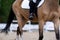 Rider riding a horse in an equestrian sports competition. close-up, foot in the stirrup. dressage or outdoor training