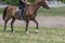 Rider in saddle, horses walk on training field