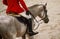 Rider in uniform and gray horse in jumping show, equestrian sports.