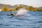 Rider wakeboarding in the cable wake park Merkur