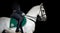 Rider on white Orlov Trotter horse, black background