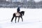 rideron horse walking through snowy landscape