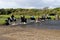 Riders crossing the river Ewenny - Ogmore Castle