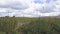 Riders on horseback. Clip. Summer pastures in an intermontane valley. People on horseback in green meadow