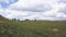 Riders on horseback. Clip. Summer pastures in an intermontane valley. People on horseback in green meadow