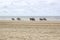 Riders on horses on the beach