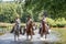 Riders and horses crossing the river Semois near Laferet, Belgium