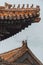 Ridge beasts on ancient buildings in Qing Dynasty
