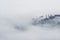 Ridge in low clouds, Olympic National Park, Washington