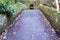 Ridge over the Ouseburn river to the old quarry, in Jesmond Dene, Newcastle upon Tyne, UK in autumn