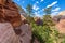 Ridge walk in beautiful scenery in Zion National Park along the Angel\'s Landing trail, Hiking in Zion Canyon, Utah, USA