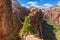 Ridge walk in beautiful scenery in Zion National Park along the Angel\'s Landing trail, Hiking in Zion Canyon, Utah, USA