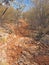 Ridge walk to Turners Lookout at Trephina Gorge national park