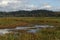 Ridgefield National Wildlife Refuge, Washington