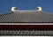 Ridgepole with shibi roof tiles of Sensoji