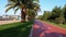 Riding along the red bike path in the park with palm trees, first-person view.