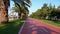 Riding along the red bike path in the park with Palm Trees, first-person view.