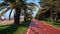 Riding along the red bike path in the park with palm trees, first-person view.