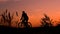 Riding a bike in nature against the backdrop of a beautiful orange sunset. A lonely man is training on a mountain bike