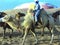 Riding on a camel during crossing the desert