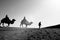 Riding camel on silk road monotone image