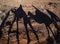 Riding camels with shadows in the desert