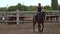 Riding horse. Girl on beautiful horse riding on manege.