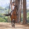 Riding, horse and portrait of woman in nature on adventure and journey in countryside. Ranch, animal and rider outdoor