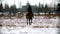 Riding a horse - woman equestrian riding a horse on a snowy field