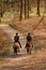 Riding horses in denmark