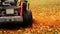 Riding lawn mower cuts grass and mulches autumn leaves in a neighbourhood backyard in evening light. Mower comes toward camera,