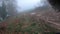 Riding a mountain bike on a muddy gravel path on a green foggy landscape
